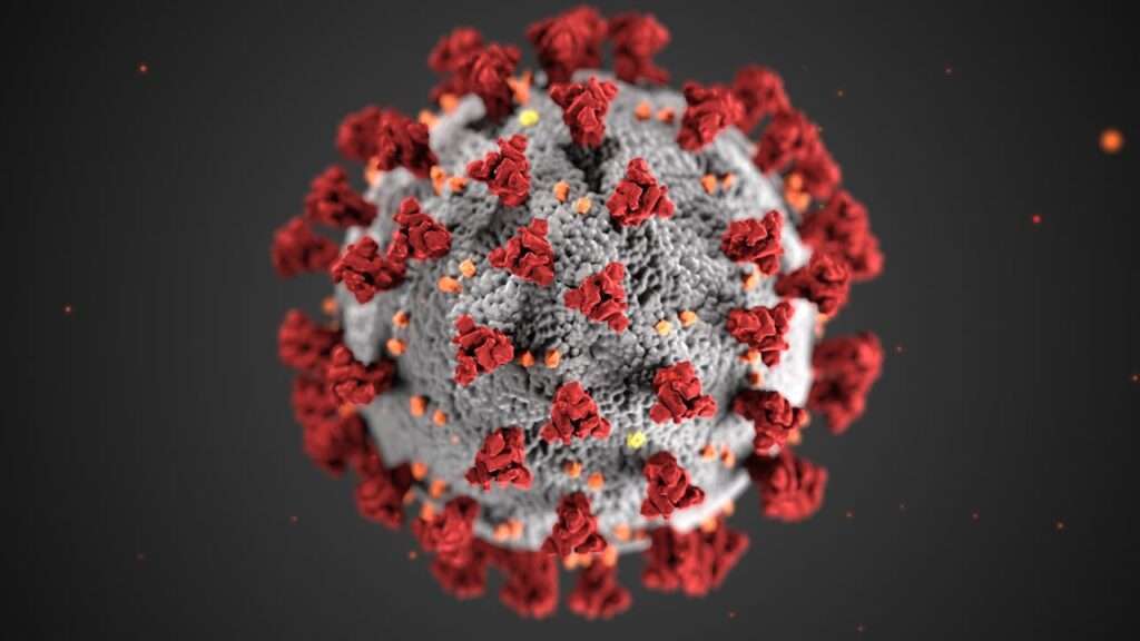 célula do coronavirus