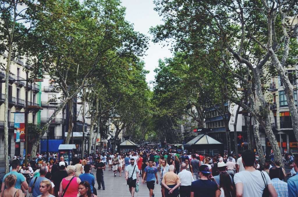 várias pessoas andando em rua arborizada.