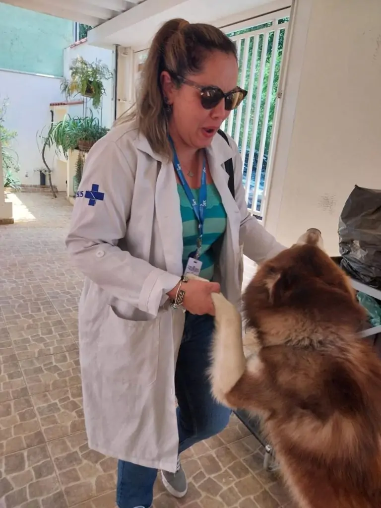 Mulher adulta de cabelos longos presos e óculos escuros, vestida de avental branco, brinca com cachorro marrom.