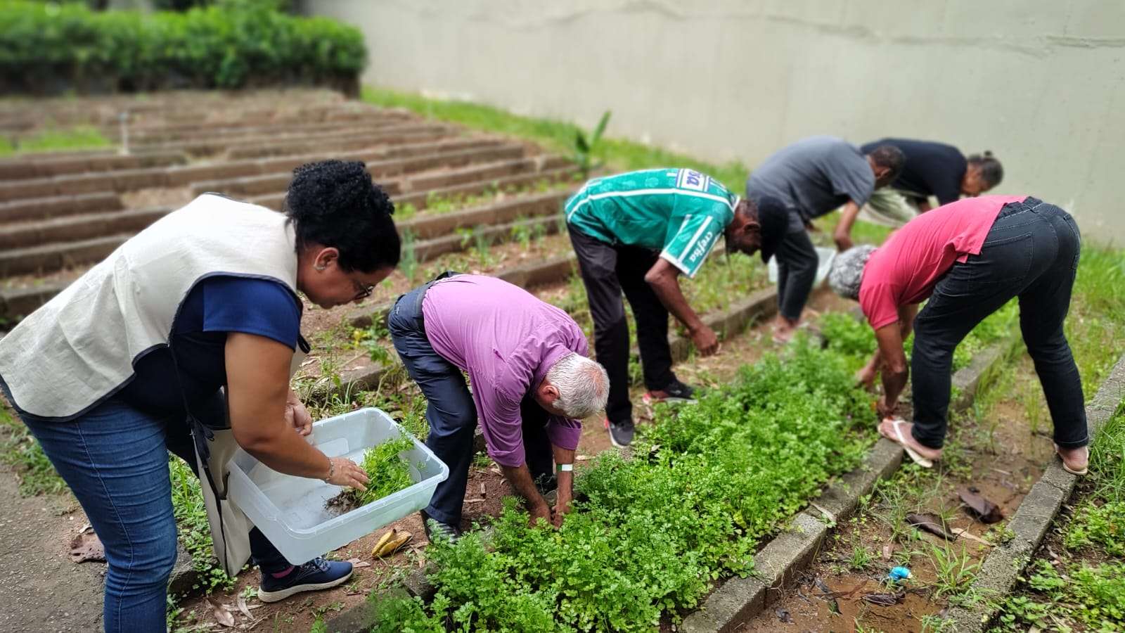 Onde antes havia contenção, brotou cuidado: a horta que devolveu sentido ao envelhecer