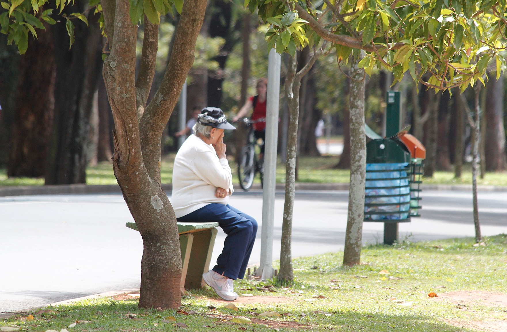 A região Sudeste terá mais de 3 idosos para cada jovem em 2070