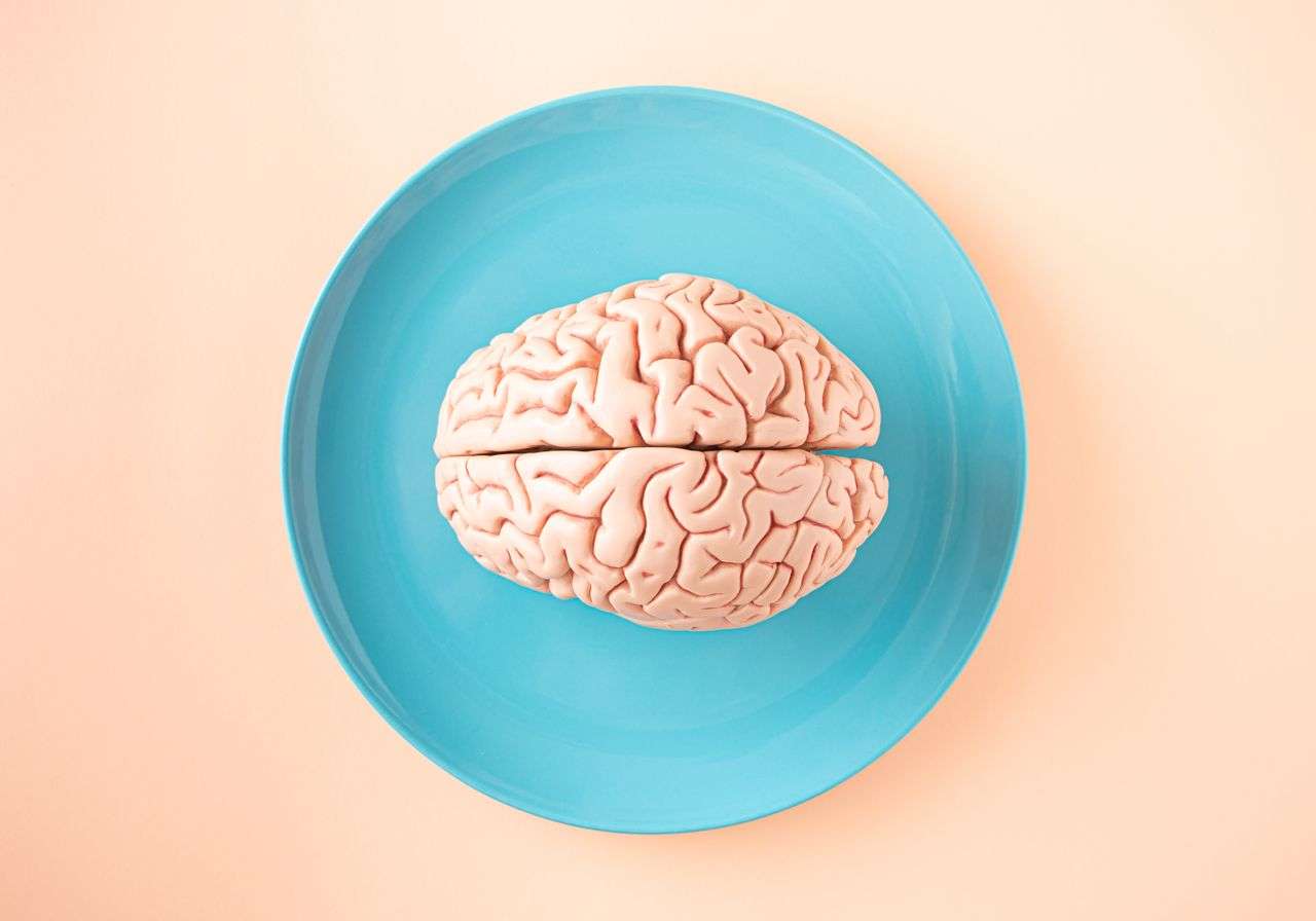 Estimulação Cognitiva e Reserva Cerebral: Como “Treinar” o seu Cérebro para uma Vida Ativa e com autonomia